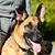 Bruce Gutfranski's profile image