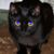 Sheryl Stuart's profile image