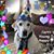 Kathy Allour's profile image