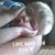 Carmen L Throckmorton's profile image