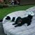 Janice Riley's profile image