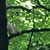 Sarah Elizabeth Stanton's profile image