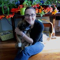 Deanne L. Hall's profile image