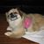 Lauretta Brandow Kyser's profile image