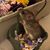 Christina Hippe's profile image