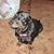 Tuey Amos's profile image