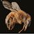 Jessica Schaefer's profile image