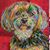 Amy Beth Norris's profile image
