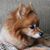 Donna Mintz Carr's profile image