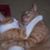 Margo Clay's profile image