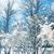 Mary Jo Crooks's profile image
