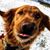 Jim Blauch's profile image
