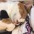 Chrystal Kuntz's profile image