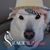 Mark Bowles's profile image
