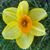 Shelly Berndt-Edwards's profile image