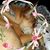 Joann Pilc's profile image
