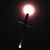 Lee Willoughby's profile image