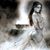 Jaimie Bennett's profile image