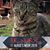 Jill Goddard's profile image