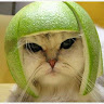 Jenna H.'s profile image