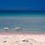 Audrey Pascoe's profile image