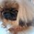 Morris Payant's profile image