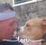 Donnie Marchione's profile image