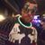 Jay Haupt's profile image