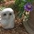Vickie Lowe's profile image