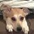J Leigh Roberts's profile image