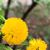 Dawn Renneker Hudson's profile image