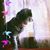 Deb Susnik's profile image