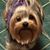 Holly Dool's profile image
