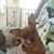 Sally Livingston Farrell's profile image