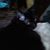 Jennifer Schneider Wood's profile image