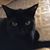 Donna Zawislak's profile image