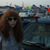 Emily Dodson Quartarone's profile image