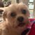 Kippy L. Lewis's profile image