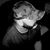 Michael P. Comer's profile image
