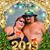 Kim Koper Davis's profile image