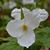 Chris Spick's profile image