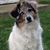 Janice Curtin's profile image
