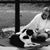 Juanita Leavitt's profile image