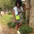 Nacresha Pinkney's profile image