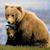 Heather Wendt's profile image