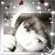 Eli Gastelum Aguilar's profile image
