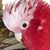 Bonnie Bates's profile image