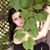 Lauren Klein-Juneau's profile image
