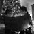 Linda Schenk Lee's profile image