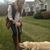 Emily Harper's profile image